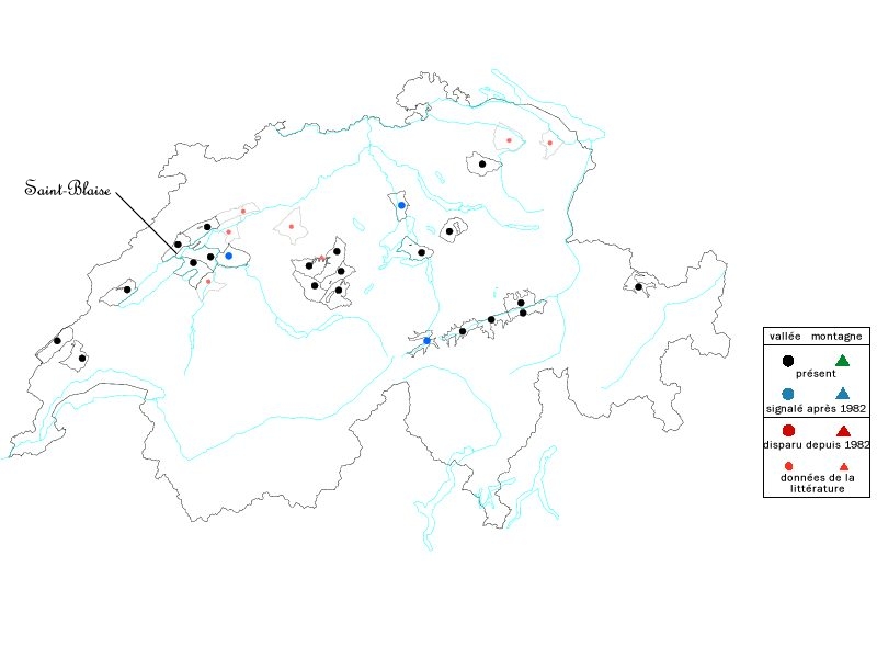 d'apr�s swiss web flora